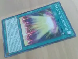 Yu-Gi-Oh! Rise of the Salamangreat MP19-EN195 Common 1st Edition Card - Image 4