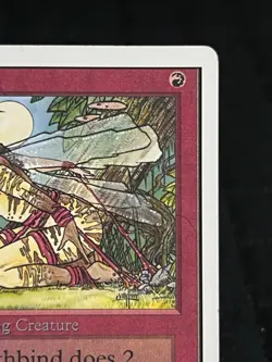 Magic the Gathering Earthbind Unlimited Edition ~MP~ MTG - Image 4