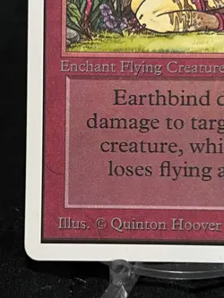 Magic the Gathering Earthbind Unlimited Edition ~MP~ MTG - Image 5