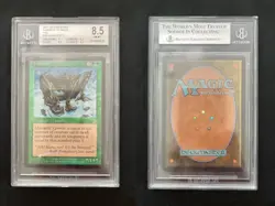 FOIL Lhurgoyf DECKMASTERS Mtg MINT Graded BGS 8.5 QUAD+ (9/8.5/8.5/8.5) - Image 1