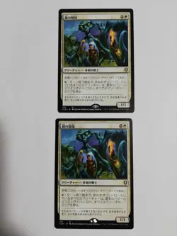 Mtg Magic The Gathering Mirror'S Semen Japan Edition Set Of 2 - Image 1
