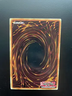 Yugioh Mystik Wok SDRL-EN028 1st Edition Common LP/MP - Image 2