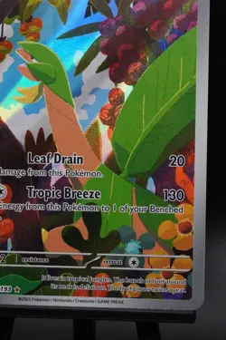 Tropius 195/193 - Paldea Evolved Holo Pokemon Card Illustration Rare NM - Image 4