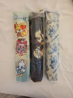 Pokemon World Championships 2025 Anaheim Set Of 3 Playmat & Playmat Bag In Hand - Image 2