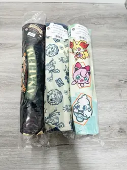 Pokemon World Championships 2025 Anaheim Set Of 3 Playmat & Playmat Bag In Hand - Image 2
