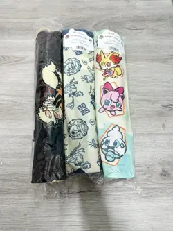 Pokemon World Championships 2025 Anaheim Set Of 3 Playmat & Playmat Bag In Hand - Image 3