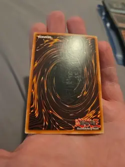 Yu-Gi-Oh! Blackwing Armed Wing 1st Edition TCG Card RGBT-EN041 - Image 4