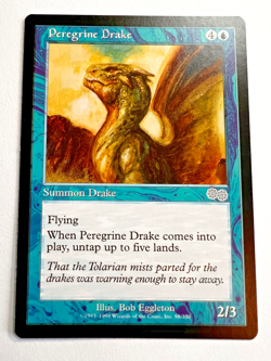 MTG: Peregrin Drake, Urza's Saga, Uncommon - Image 1