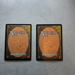 MTG- Timber Protector- Lorwyn- Near Mint Cond- MAGIC CARD - Image 2