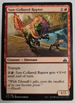 MTG Magic The Gathering Card Sun-Collared Raptor Creature Dinosaur Red RIX 2018 - Image 1