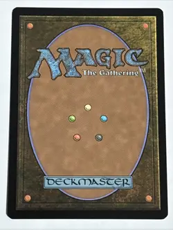 MTG Lord of the Rings The Shire Borderless Foil 0345 NM Rare - Image 2