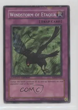 Windstorm of Etaqua YuGiOh Shadow Infinity Special Edition Promo #SOI-ENSE3 2006 - Image 1