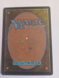 x1 Adarkar Wastes - Borderless R MTG Dominaria United M/NM, English - Image 2