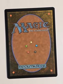 Terrasymbiosis R0312 Regular Non Foil (Borderless) Edge of Eternities MTG NM - Image 2