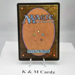MTG - Alliances - Royal Herbalist - Common - LP - Image 3