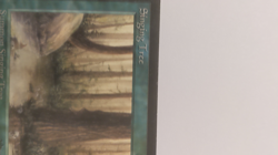 Magic MTG Singing Tree Arabian Nights Gathering Vintage www_MoxBeta_com #2 - Image 2