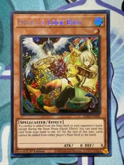 YuGiOh! TCG - Droll & Lock Bird (Alt Art) - Secret Rare - RA02-EN006 - 1st Ed. - Image 1