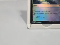 Thornwood Falls #269 Foil FDN Foundations MTG - Image 4