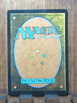 MTG🔥🌳 Balthier and Fran ( FOIL Borderless ) Final Fantasy NEAR MINT.💕😍❤ - Image 4