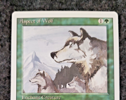 Aspect of Wolf MTG - Revised Edition Vintage Magic The Gathering Mint (DS3D1K6) - Image 3