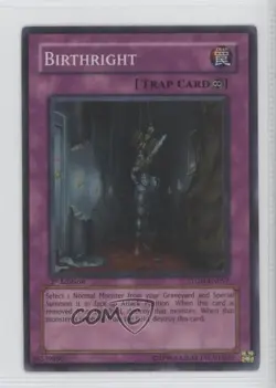 Birthright (Super Rare) 1st Ed. YuGiOh Strike of the Neos #STON-EN057 2007 c6w - Image 1