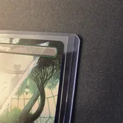 MTG Wastewood Verge 374 Borderless Regular Rare Aetherdrift DFT - Image 4