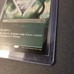 MTG Wastewood Verge 374 Borderless Regular Rare Aetherdrift DFT - Image 5