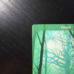 Forest Land Regular MTG Unstable #216 LP - Image 2