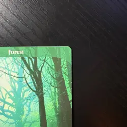 Forest Land Regular MTG Unstable #216 LP - Image 3