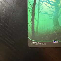 Forest Land Regular MTG Unstable #216 LP - Image 4