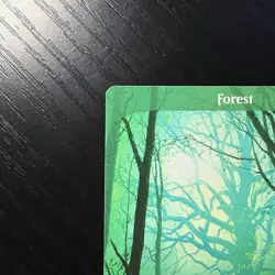 Forest Land Regular MTG Unstable #216 LP - Image 2