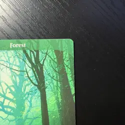 Forest Land Regular MTG Unstable #216 LP - Image 3