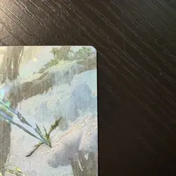 Forest Borderless Galaxy Foil MTG Edge Of Eternities #371 NM - Image 3