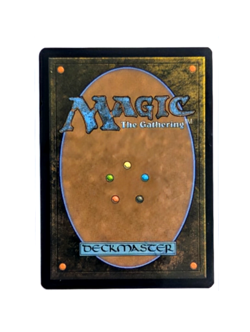 Sunken Citadel R 0086 Borderless REGULAR MTG Edge Of Eternities EOS EN NM/M - Image 2