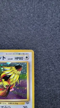 Pidgeot Pokemon Jungle Holo (Japanese) Pokemon Card - Image 4