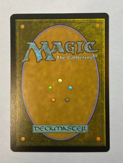 MTG - Secret Lair - Magali Villeneuve - Forest (#476) - FOIL - NM - Image 2