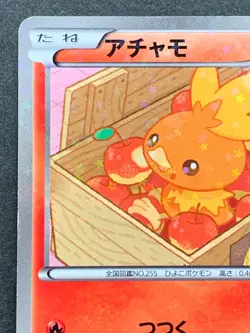 Torchic 005/020 SC 1st Pokemon card 2013 Pokemon Holo Japanese Nintendo RARE - Image 2