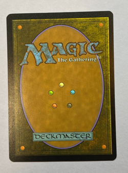 MTG - Secret Lair - Magali Villeneuve - Forest (#690) - FOIL - NM - Image 2