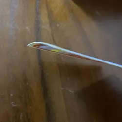 Topsun Aerodactyl numberless error Blue Back Pokemon Card Japanese - Image 4