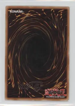 Tiger Dragon YuGiOh Starter Deck Kaiba Reloaded #YSKR-EN024 - Image 2