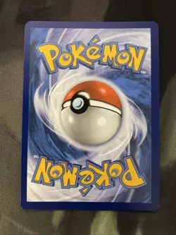Morpeko 206/182 SV04: Paradox Rift Holo Pokemon Card Dark Type Full Art - Image 2