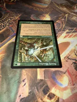 Steely Resolve [Onslaught] NM Rare Enchantment - Tribal Shroud Engine MTG - Image 3
