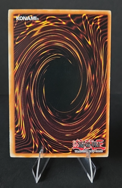 Wall Of Revealing Light - YuGiOh! Trap - Common - DR2-EN162 - Light Play - Image 2