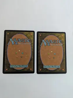 2 Ashling, the Extinguisher MTG NM Free shipping with tracking - Image 2