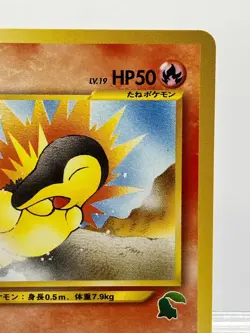 Pokemon card Neo Cyndaquil No.155 #16 Intro Pack Chikorita mark Japanese NM-! - Image 5