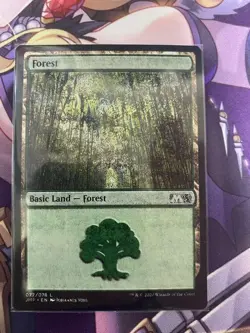 Allosaurus Shepherd Error Card MTG Magic the Gathering Used - Image 4