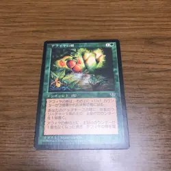 MtG Afia Tree Japan Edition Error Card Used - Image 2