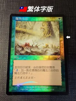 MTG Diversifying Growth Traditional Chinese Foil Error Card Play Condition - Image 1