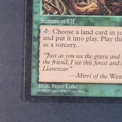 MTG - 1x Skyshroud Ranger, Tempest - NM/LP - Vintage Green - Magic The Gathering - Image 3
