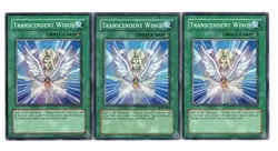 Yugioh- 3X Transcendent Wings - Common - Unlimited - DP1-EN018 - Light Play - Image 1
